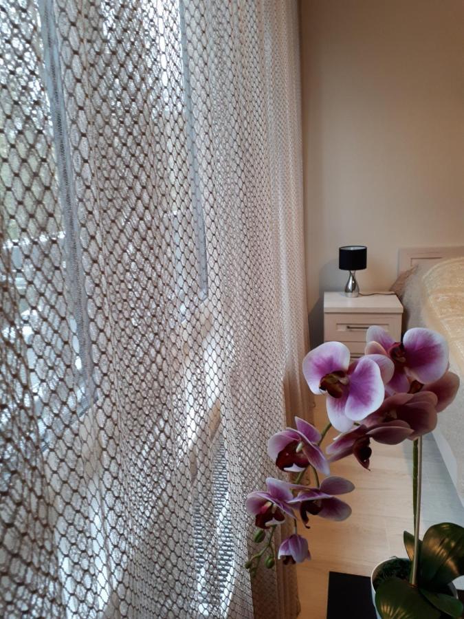 Vena Apartment Wroclaw Luaran gambar